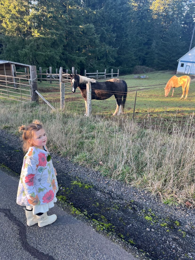 Finding horses with my daughter (she wants one, but I'm not there yet)